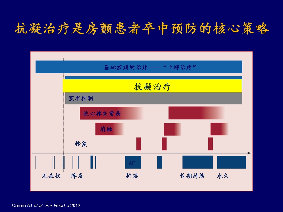 房颤抗凝治疗指南解读.ppt_第3页