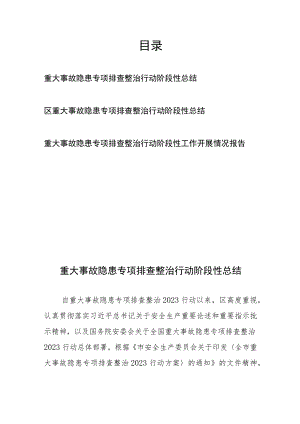 重大事故隐患专项排查整治行动阶段性工作开展情况总结报告共3篇.docx