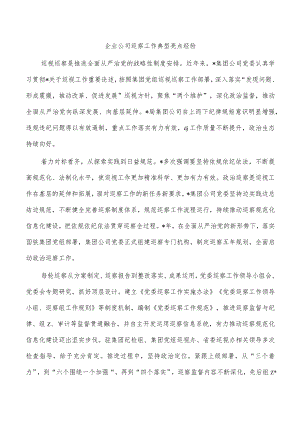 企业公司巡察工作典型亮点经验.docx