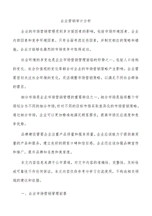 企业营销审计分析.docx