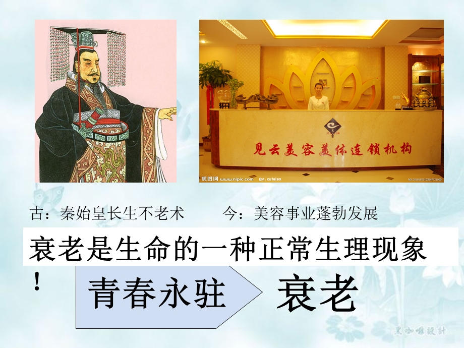 细胞的衰老和凋亡.ppt.ppt_第1页