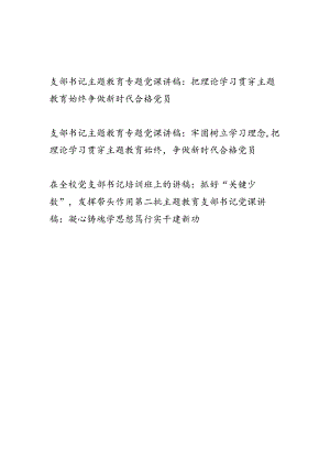 2024支部书记第二批第二轮“学思想、强党性、重实践、建新功”专题党课讲稿4篇.docx