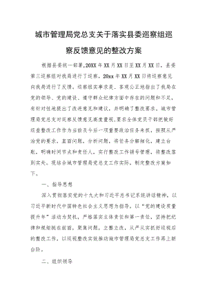 城市管理局党总支关于落实县委巡察组巡察反馈意见的整改方案.docx