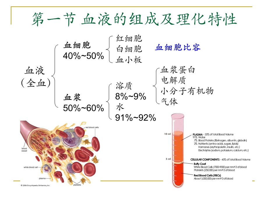 血液生理.ppt_第3页