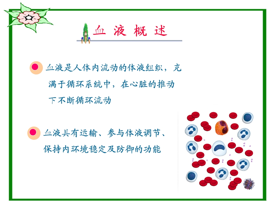 血液基础知识与相关疾病.ppt_第2页