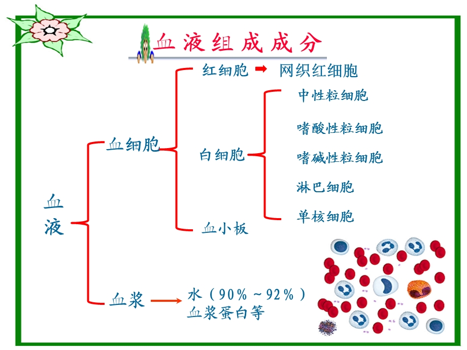 血液基础知识与相关疾病.ppt_第3页