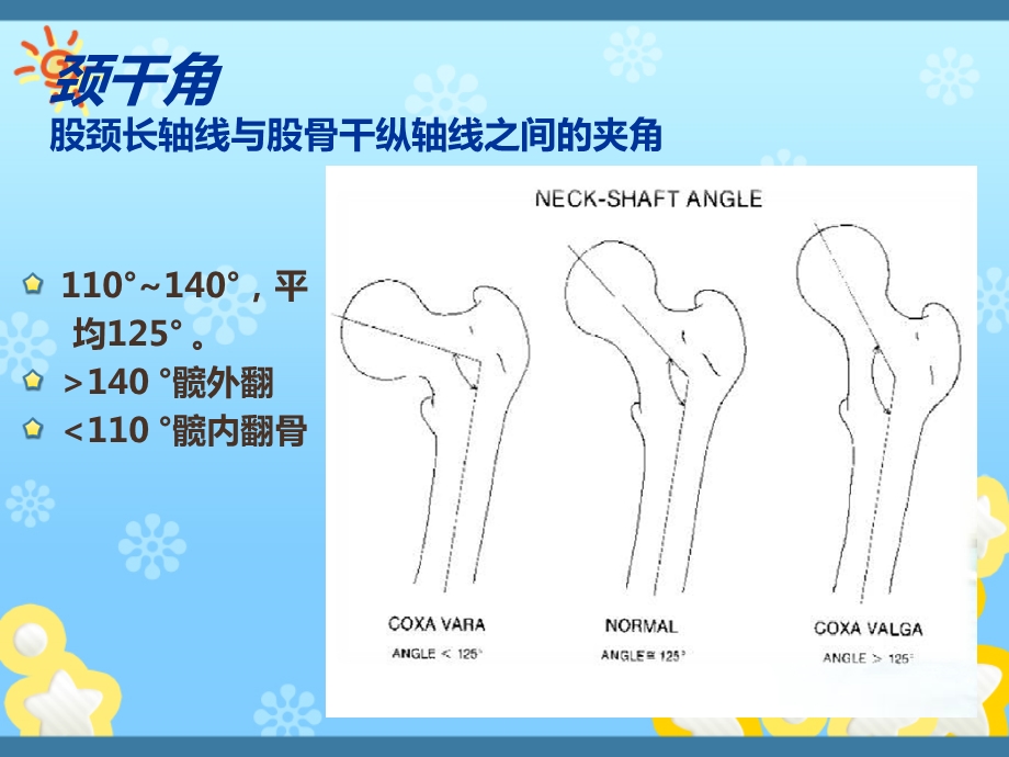 股骨颈骨折的康复.ppt_第3页