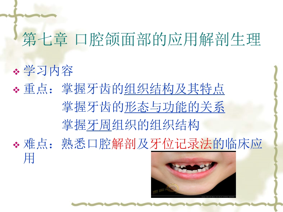 口腔解剖生理.ppt_第3页