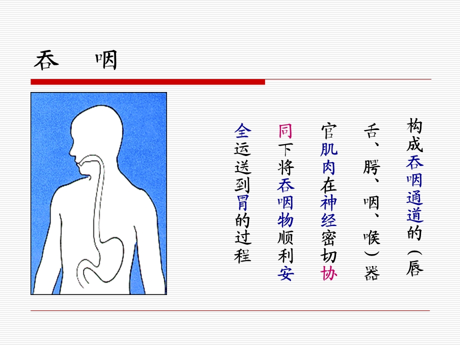 脑卒中吞咽障碍护理.ppt_第3页