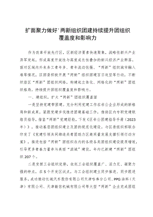 区团委书记在“两新组织”团组织建设工作学习交流座谈会上的发言.docx