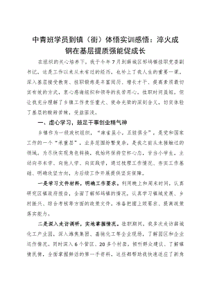 中青班学员到镇（街）体悟实训感悟：淬火成钢在基层 提质强能促成长.docx