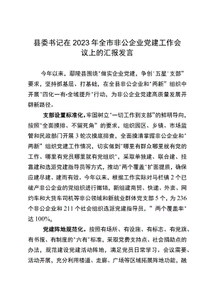 在全市非公企业党建工作会议上的汇报发言.docx