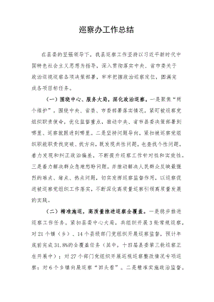 巡察办工作总结.docx