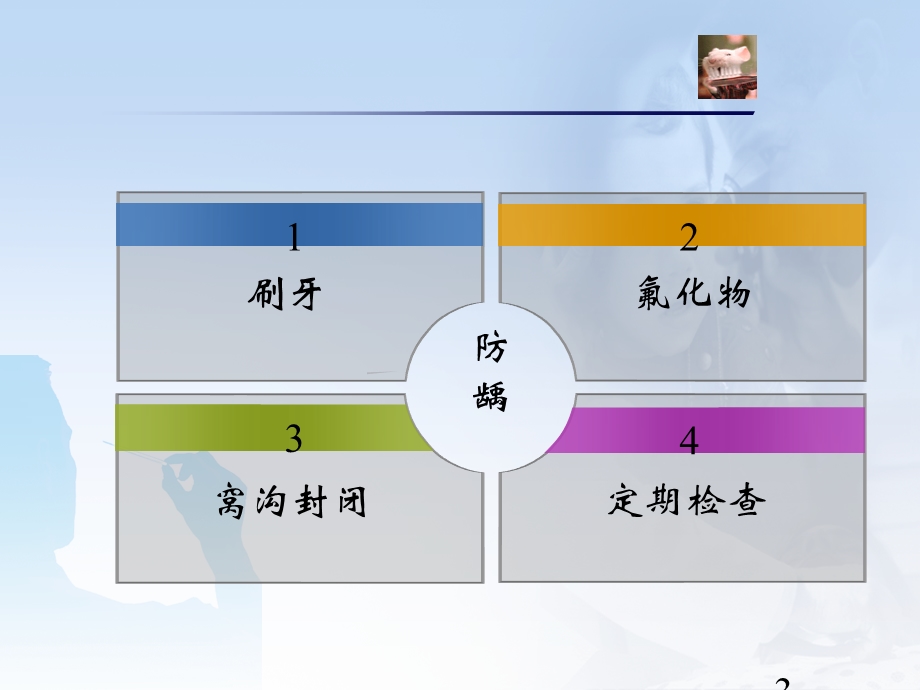 [新版]儿童口腔保健.ppt_第3页