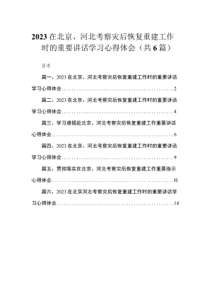 2023在北京、河北考察灾后恢复重建工作时的重要讲话学习心得体会六篇(最新精选).docx