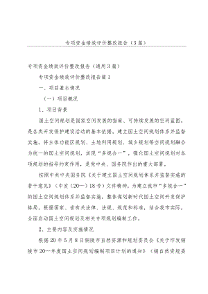 专项资金绩效评价整改报告（3篇）.docx