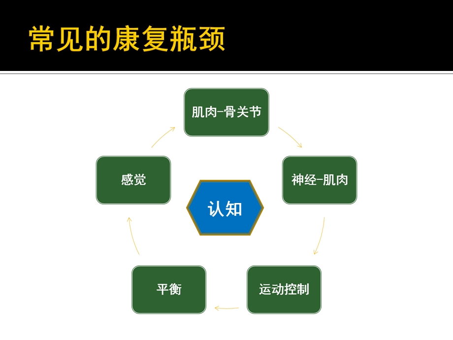 运动功能重塑与康复机器人.ppt_第3页