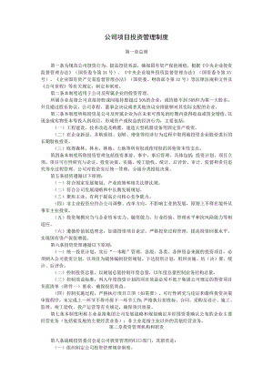 公司项目投资管理制度.docx