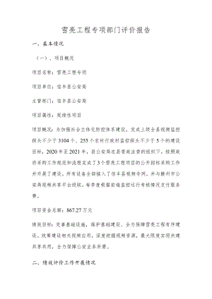 雪亮工程专项部门评价报告.docx