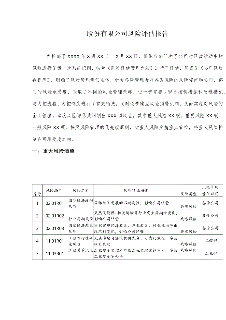 股份有限公司风险评估报告.docx_第1页