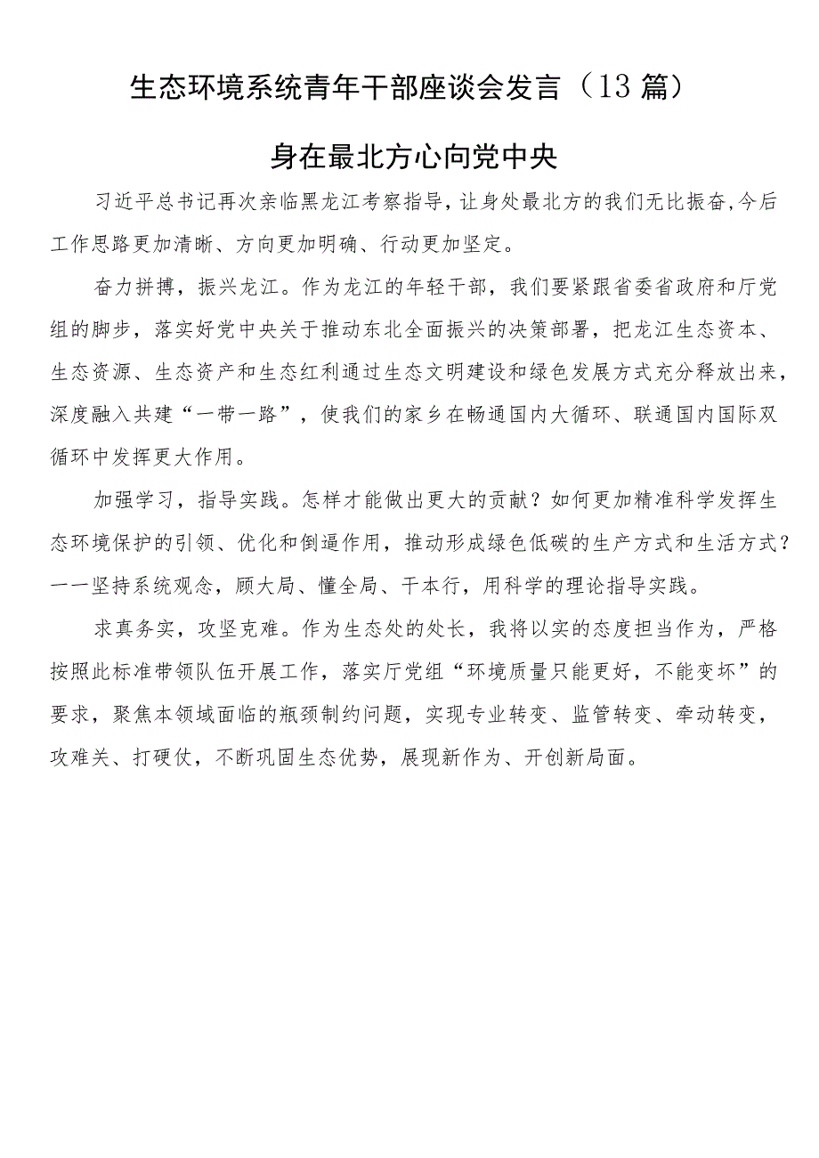 生态环境系统青年干部座谈会发言（13篇）.docx_第1页