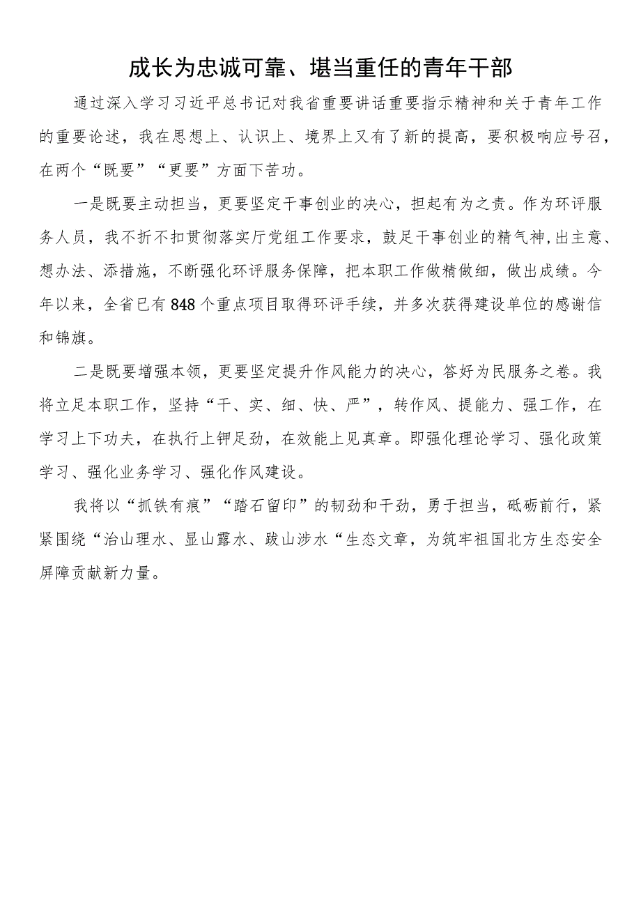 生态环境系统青年干部座谈会发言（13篇）.docx_第3页