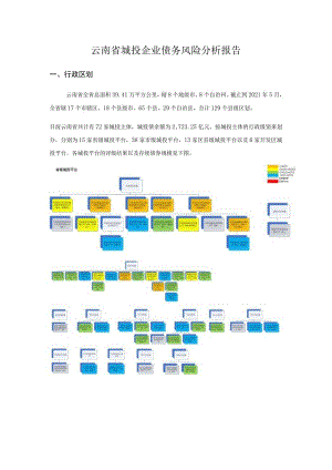 债务风险自评报告.docx