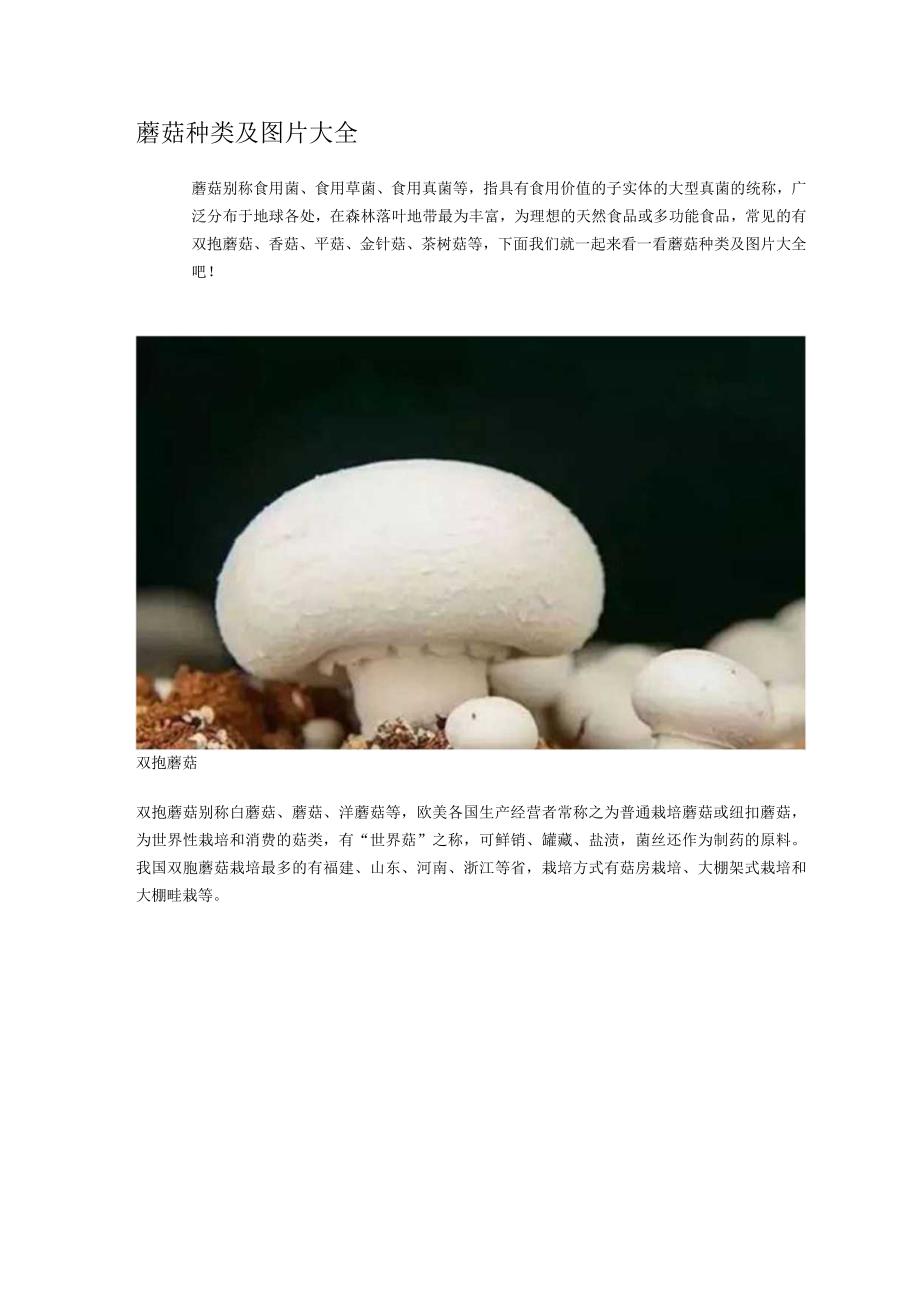 蘑菇种类及图片大全.docx_第1页