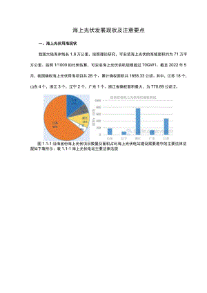 海上光伏发展现状及注意要点.docx