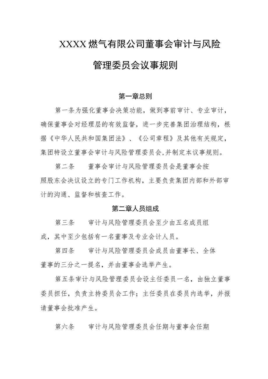 燃气有限公司董事会审计与风险管理委员会议事规则.docx_第1页