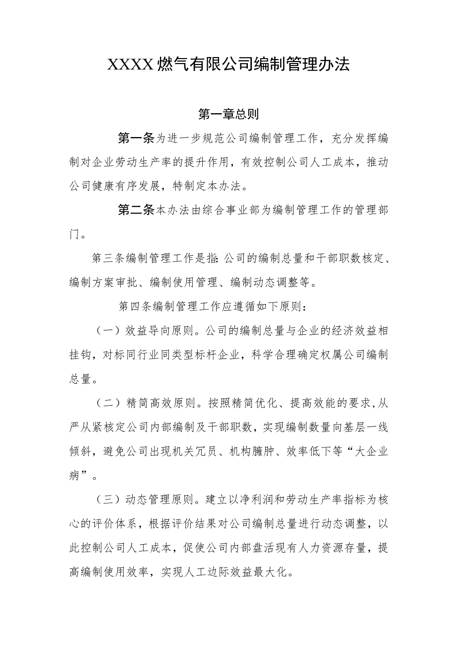 燃气有限公司编制管理办法.docx_第1页