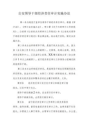 公安领导干部经济责任审计实施办法.docx