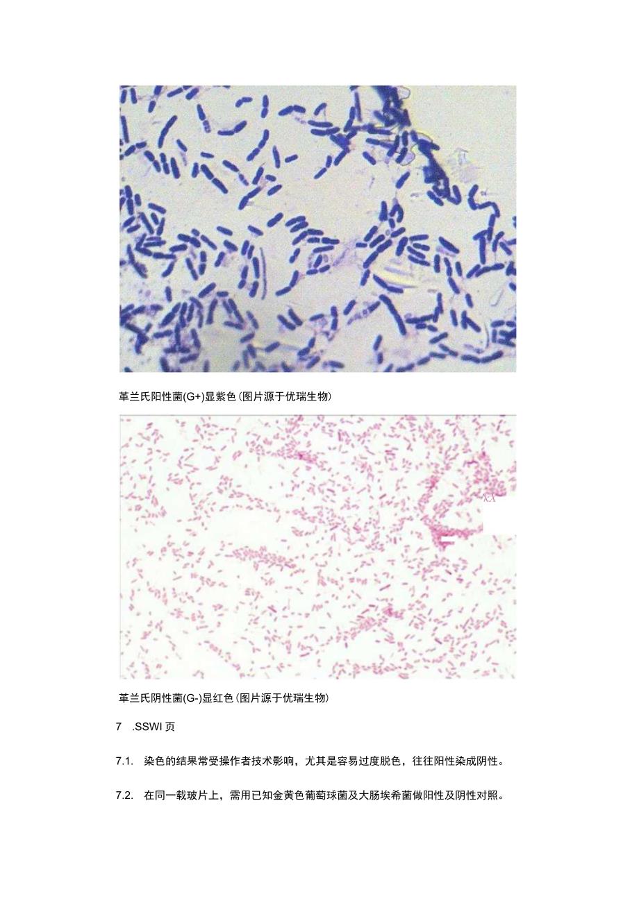 革兰染色标准操作规程.docx_第3页