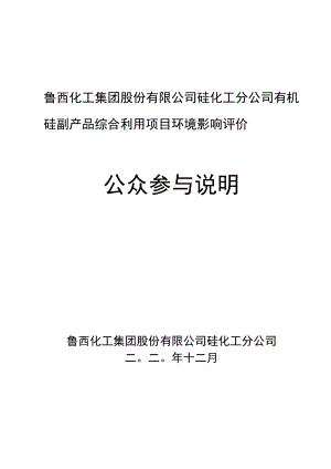 鲁西化工集团股份有限公司硅化工分公司有机硅副产品综合利用项目环境影响评价公众参与说明.docx