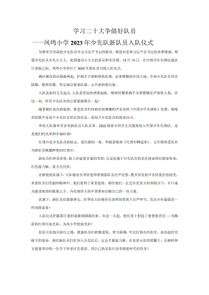 入队仪式简报.docx