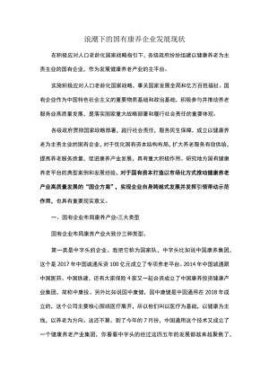 浪潮下的国有康养企业发展现状.docx