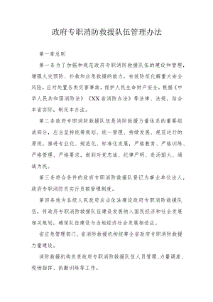 政府专职消防救援队伍管理办法.docx