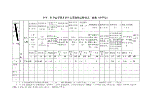 波振小学打分表.docx