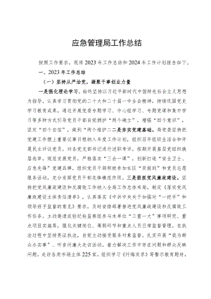 应急管理局工作总结.docx