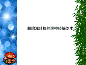 腮腺浅叶摘除面神经解剖术.ppt