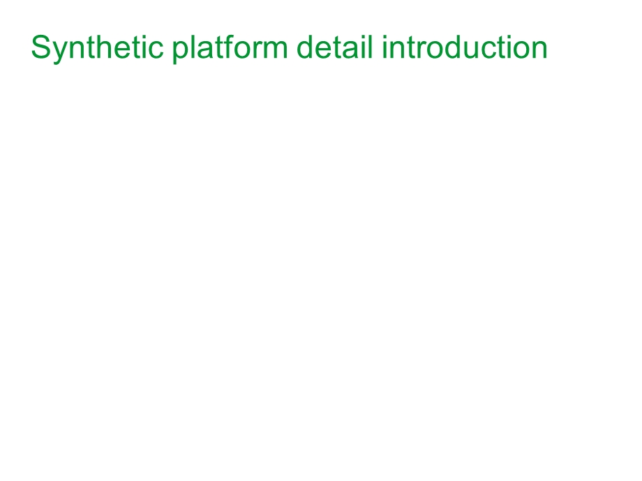 syntheticplatformdetailintroduction.ppt_第1页