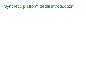 syntheticplatformdetailintroduction.ppt