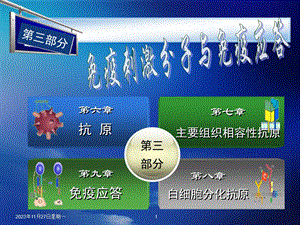 粘附分子和白细胞分化抗原.ppt