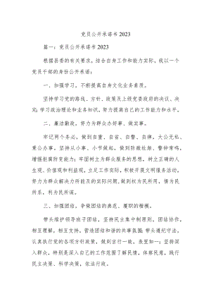 党员公开承诺书2023.docx