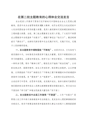 在第二批主题教育的心得体会交流发言.docx