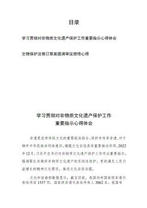 学习贯彻对非物质文化遗产保护工作重要指示心得体会、文物保护法修订草案提请审议感悟心得.docx