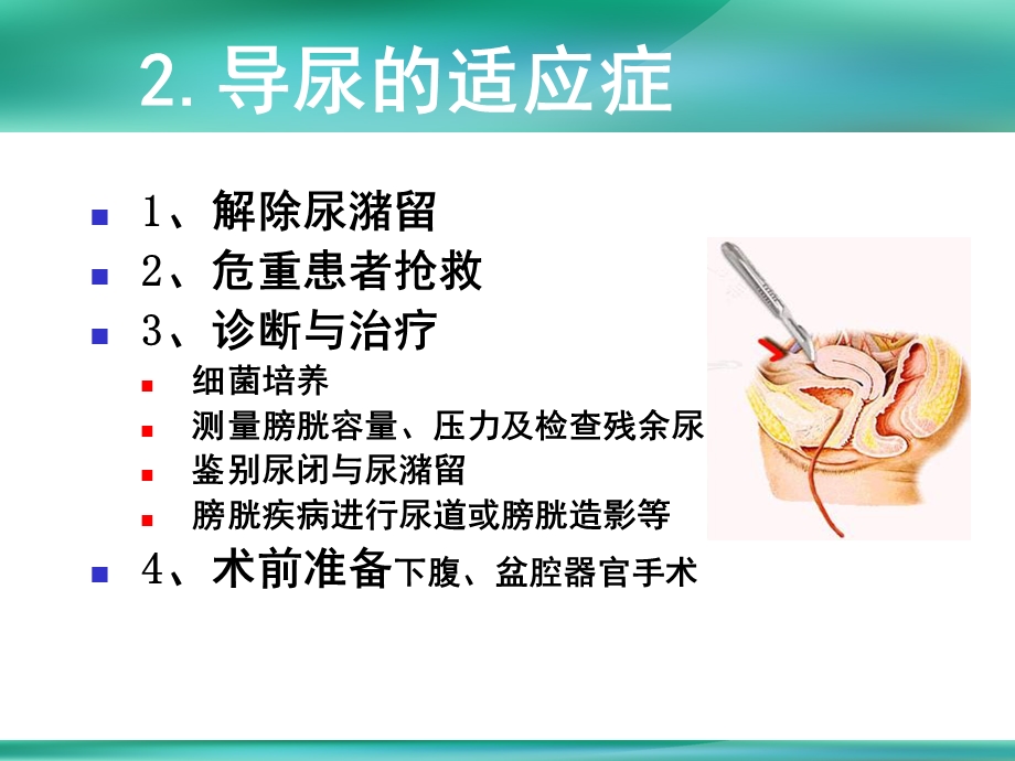 女性导尿术解析.ppt_第3页