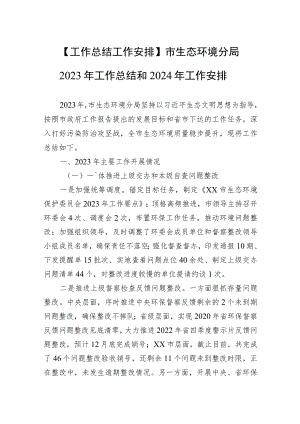 【工作总结工作安排】市生态环境分局2023年工作总结和2024年工作安排.docx