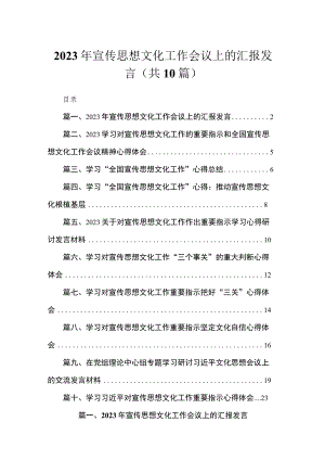 2023年宣传思想文化工作会议上的汇报发言10篇供参考.docx