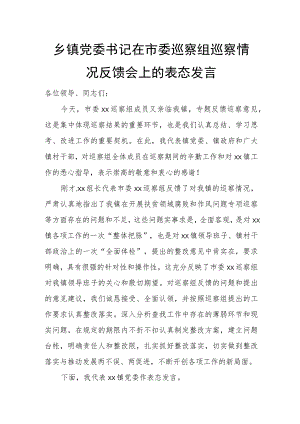 乡镇党委书记在市委巡察组巡察情况反馈会上的表态发言.docx